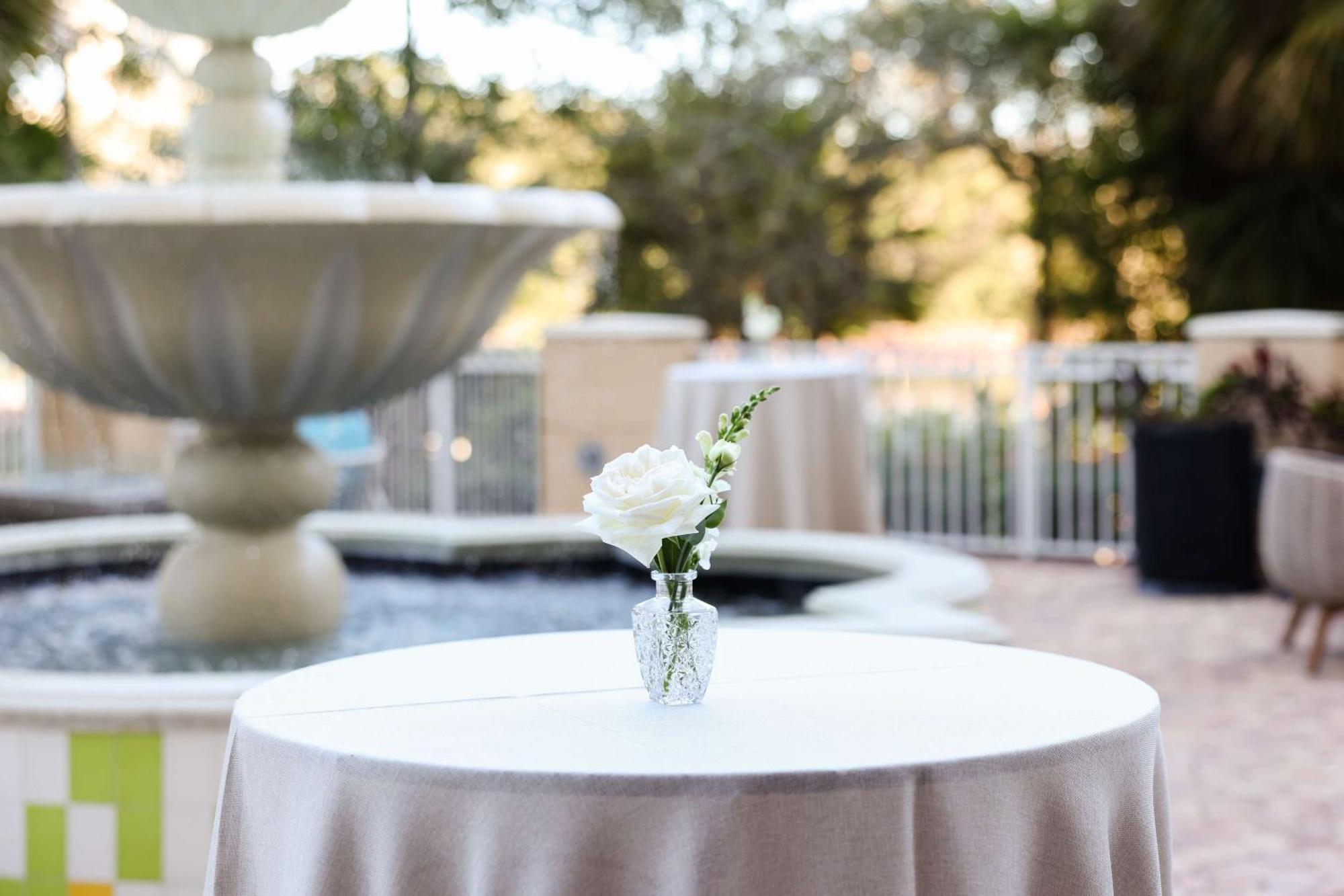 Hilton St. Petersburg Carillon Park Hotel Luaran gambar